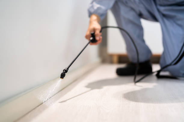 Licensed Pest Control service in Woodville, MS - Show Me Pest Control